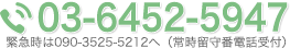 電話:03-5201-3847